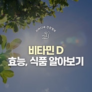 비타민D 효능 및 부작용, 많은 음식 알아보기