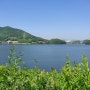 반월저수지 싱그러운 초여름 풍경과~망원동식 고추떡갈비!