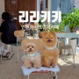 인천 청라 카페 브런치 & 분위기 맛집 : 리리키키