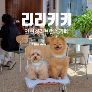 인천 청라 카페 브런치 & 분위기 맛집 : 리리키키