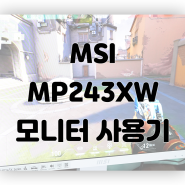 MSI MP243XW 아이에르고 모니터 사용기
