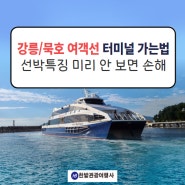 강릉/묵호 여객선 터미널 가는법과 선박특징 미리 안 보면 손해