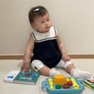 11개월 아기 책육아 블루래빗 토이북 전집 생활습관 형성