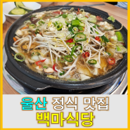 [정식]울산 울주군 언양 밥집 맛집 _ 백마식당