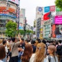 일본 도쿄 쇼핑리스트 돈키호테 면세점 꼭 사야할 핫 아이템