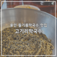 용인 수지구 맛집 고기리막국수 들기름막국수 / 주말 웨이팅, 주차