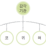 121 [정신적기능]⇒"신경계통"⇒[신경계⇒감각기관(感覺器官)]⇒[쉽게알기] 02