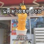 [영주] 왕가탕후루 :: 택지 가흥동 만다린 오마카세 탕후루 / 신상 신메뉴 청포도 망고 딸기사고