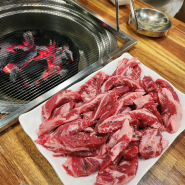[신림역 맛집] 숯불에 굽고 가격도 착한 소갈비살 맛집 "은행나무갈매기"