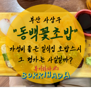 [특별한 식사] 부산 사상구, "동백꽃초밥" 솔직후기. 가성비 좋은 사상일식집 초밥스시라는 평가는 사실일까?🍣
