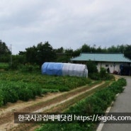 충남 홍성군 시골집 단독주택과 토지 매매합니다. 농가주택 2채와 밭. 면소재지 5분, 공기좋고 깨끗한 환경.