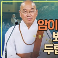 암이 재발할까 봐 항상 두렵습니다