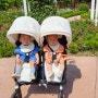 경기도 오산 고인돌공원 장미보러 아기랑 다녀왔어요