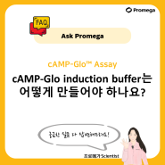 [Ask promega] cAMP-Glo induction buffer 는 어떻게 만들어야 하나요?