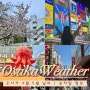[일본 오사카 4월 5월 6월 날씨] 옷차림 벚꽃 직접 다녀온 후기