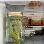 청양고추 냉장보관법 오래도록 신선한 고추 냉동보관 방법