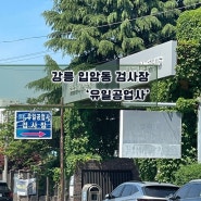 강릉 자동차검사 예약실패 후 민간검사소 후기 '유일공업사'