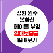 [강원 원주] 봉화산 메이플밸리 부영아파트 임대보증금 확인하기