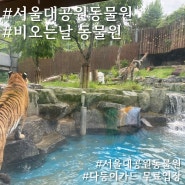 비오는날 서울대공원 동물원 아기와 단둘이