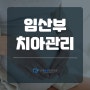 임산부 치아 관리 치료 전 충분한 상담 필요합니다