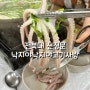 [전북대] 새로 생긴 찐 전북대 낙지 요리 맛집 낙지야낙지야고기사랑