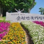 순천만 습지~순천만 국가정원~부산 송도해수욕장