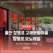 울산광역시의회 소셜미디어 홍보단 '아하'3기가 직접 체험하고 소개하는 장생포 모노레일, 장생포 고래문화마을