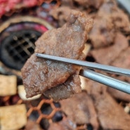 광양 숯불고기 맛집 쇠고기 맛이 뛰어난 행복한 한우 광양 숯불고기 유래 내돈내산
