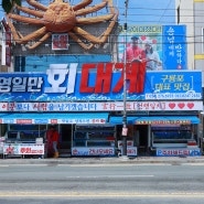 포항 구룡포 대게 맛집추천 영일만회대게 횟집 먹거리 센터