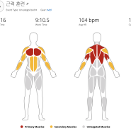 24.05.23 (목) 맨몸 운동