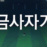 SPOTV 고교야구 시리즈 <제 78회 황금사자기> 중계 안내