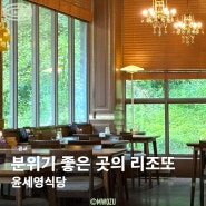 윤세영식당, 스테이크 크림 리조또 광교 맛집