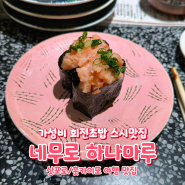 [삿포로] 네무로 하나마루 미레도점 | 가성비 스시맛집 회전초밥 추천