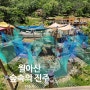 월아산 숲속의 진주 아이와 가볼만한곳 산림레포츠 네트어드벤처 에코라이더 후기 할인팁 주의할점