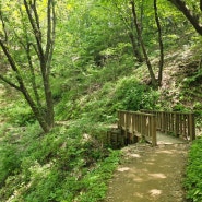 서울 근교 트레킹 산책 코스 - 서울대공원 산림욕장길 7키로 2시간반 소요