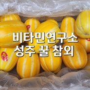 성주참외 제철과일, 5월 제철과일