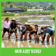 김동연 경기도지사 ‘쌀 산업 특구’ 여주에서 모 심었다