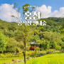 🏞️숲과 함께하는 휴식, 홍천 피톤치드 여행지 추천🌞