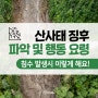 산사태 징후 파악 및 행동 요령 침수 발생시 이렇게 해요![부산광역시 안전하이소]