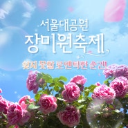 서울대공원 장미원축제, 잊지 못할 로맨틱한 순간!