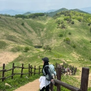 [등산] 강원도/정산 민둥산 : 페어플레이 민둥산 자유셔틀 후기
