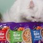 고양이습식사료 하림펫푸드 더리얼 캣스프 후기