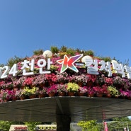 2024 천안 K-컬처 박람회 주차장 먹거리 공연 이벤트 후기