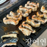 [김포맛집] 장어연 - 다양한 밑반찬 & 국내산 민물장어 구이
