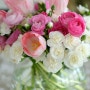 꽃말 모음 작약 장미 카네이션 수국 해바라기 리시안셔스 예쁜 꽃