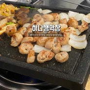 (노단머) 대전 상대동 맛집 대전 막창 맛집 "하나생막창"