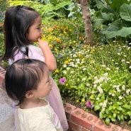 서울숲 아기랑 갈만한곳 나비정원 곤충식물원 작은동물의집 꽃사슴방사장