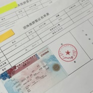 중국 여행 개인 단수비자 별지비자 단체 비교 비용 발급 방법 대행사