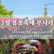 꽃구경 오지게 한 5월 일상/ 연남동 중랑서울장미축제 창릉천유채꽃