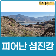 피어난 섬진강